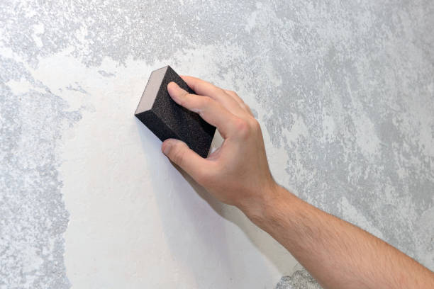 Best Mold Damage Restoration  in Emmett, ID