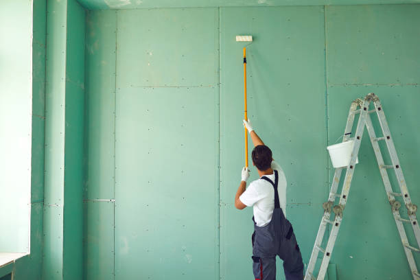 Best Mold Documentation for Insurance Claims  in Emmett, ID