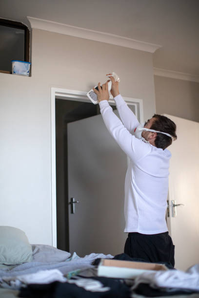 Best Residential Mold Inspection & Testing  in Emmett, ID