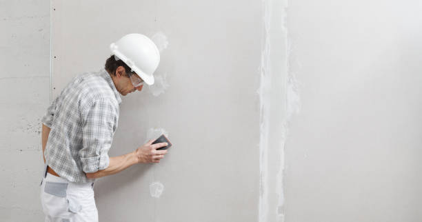 Best Asbestos and Lead Testing During Mold Inspection  in Emmett, ID