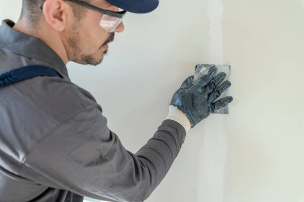 Biohazard Mold Removal in Emmett, ID