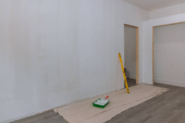 Best Comprehensive Air Testing for Mold Contaminants  in Emmett, ID