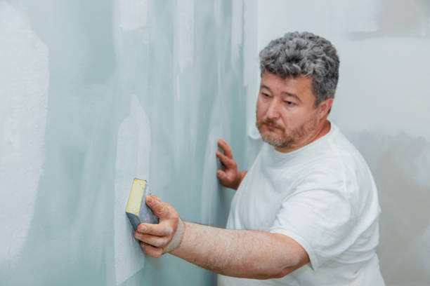Reliable Emmett, ID Mold Removal Solutions