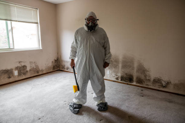 Mold Removal for HVAC Installations in Emmett, ID