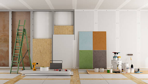 Best Mold Remediation for Vacation Homes  in Emmett, ID