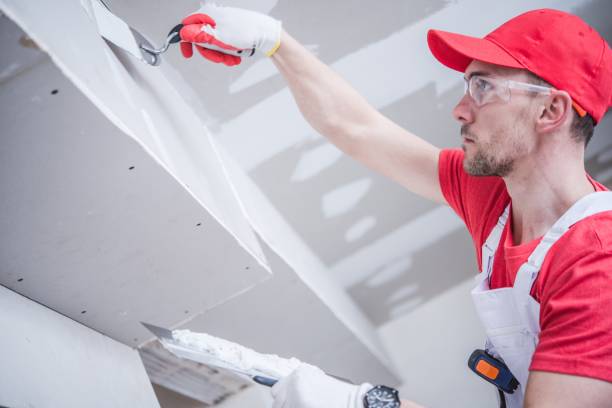Best Emergency Mold Remediation  in Emmett, ID